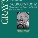 Gray's Clinical Neuroanatomy